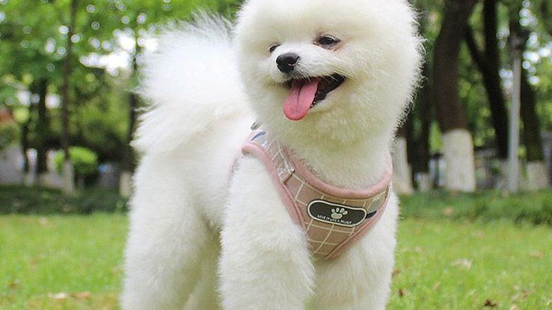 蔬菜保鲜冷库温度湿度标准解析